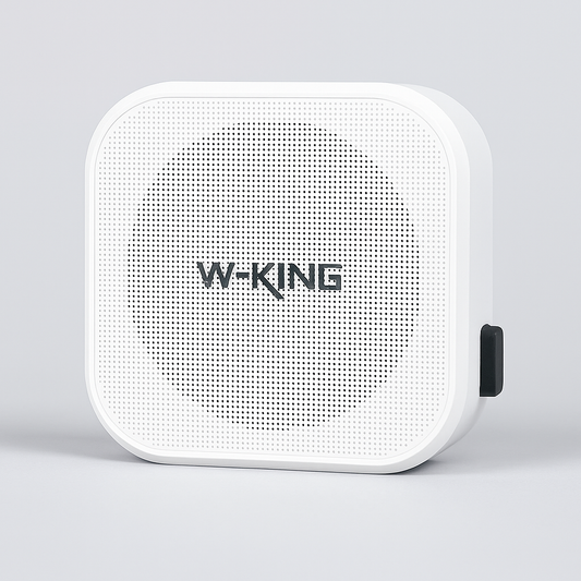 W-KING K502 High-Fidelity Voice Amplifier